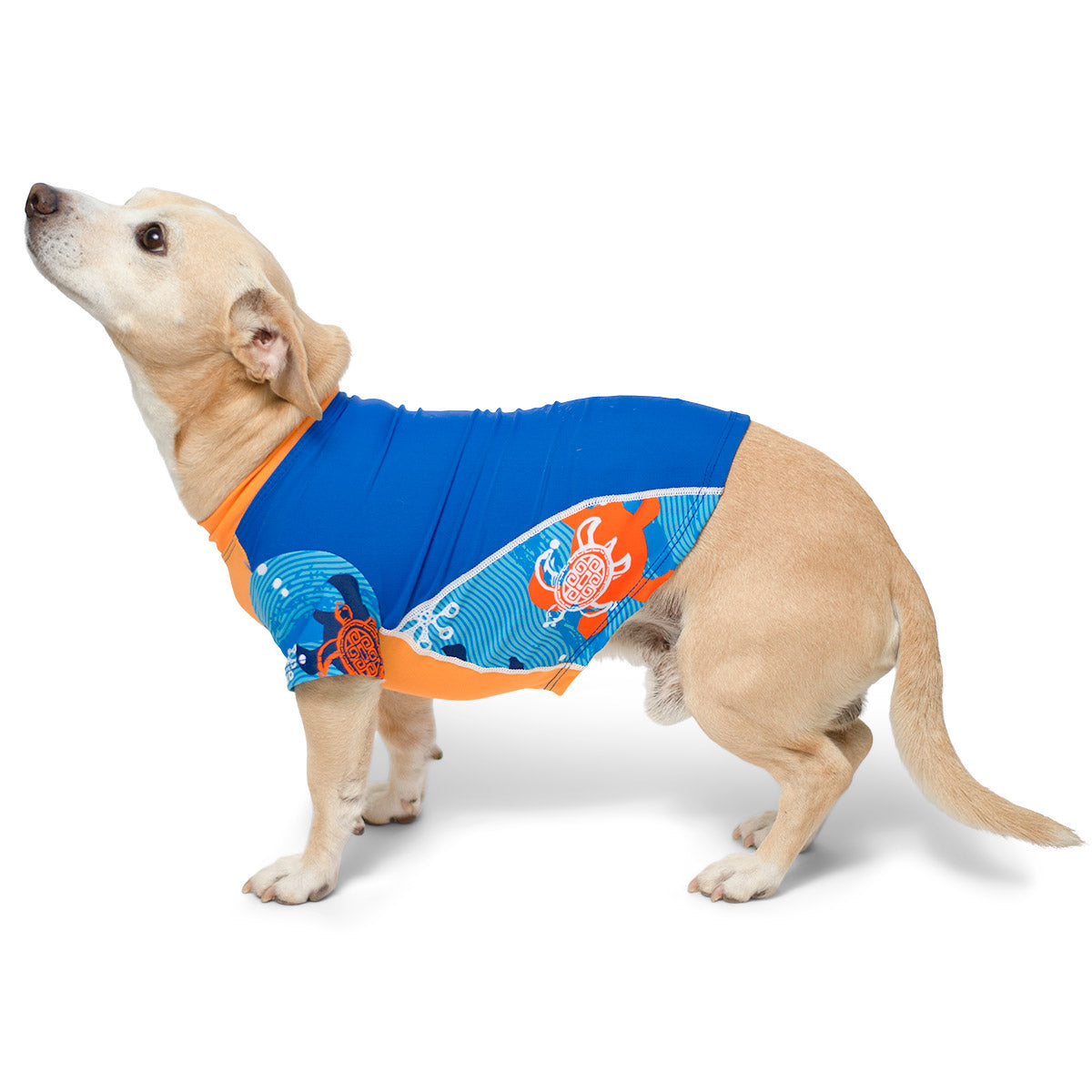 Dog sun shop protection clothing